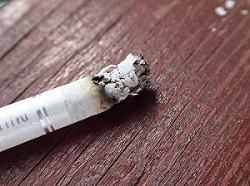 健康に悪影響与える煙草　